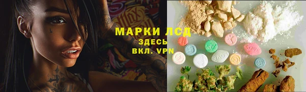 шишки Гусев