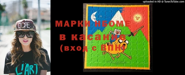 амф Снежногорск