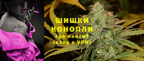 шишки Гусев