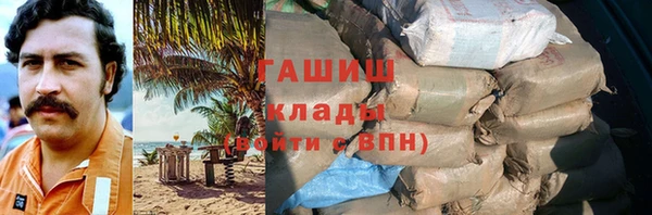шишки Гусев