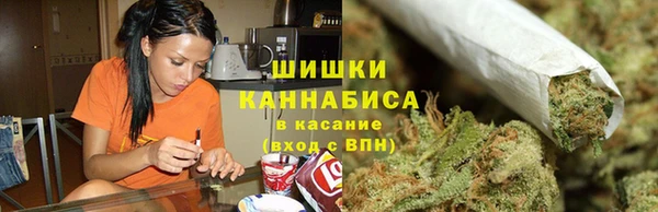 шишки Гусев
