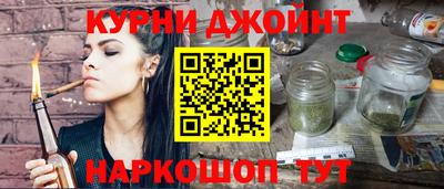 индика Новодвинск