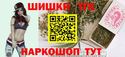 индика Новодвинск
