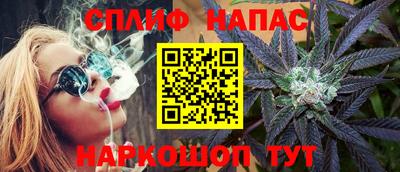 индика Новодвинск