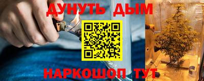 индика Новодвинск