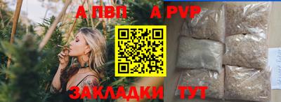 индика Новодвинск