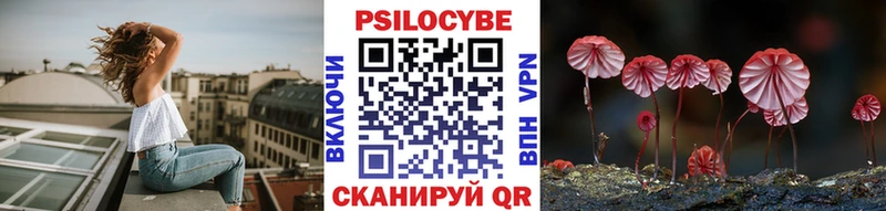 купить   KRAKEN зеркало  Галлюциногенные грибы Psilocybine cubensis  Дальнегорск 