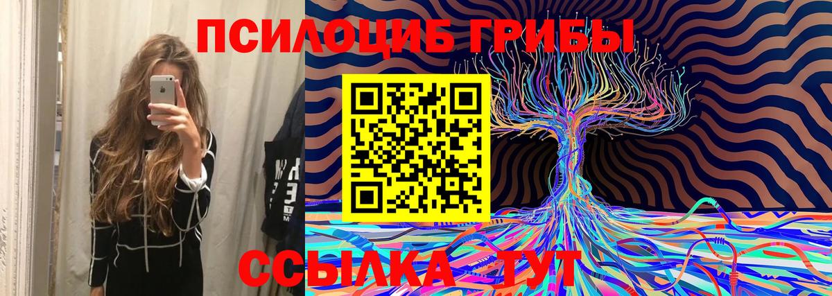 Дальнегорск  Псилоцибиновые грибы Cubensis  где продают наркотики  Вход с VPN 