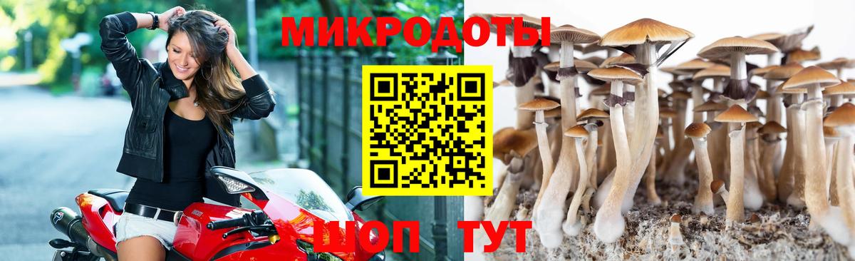 Псилоцибиновые грибы мухоморы Дальнегорск